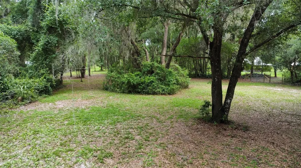 Melrose FL 32666