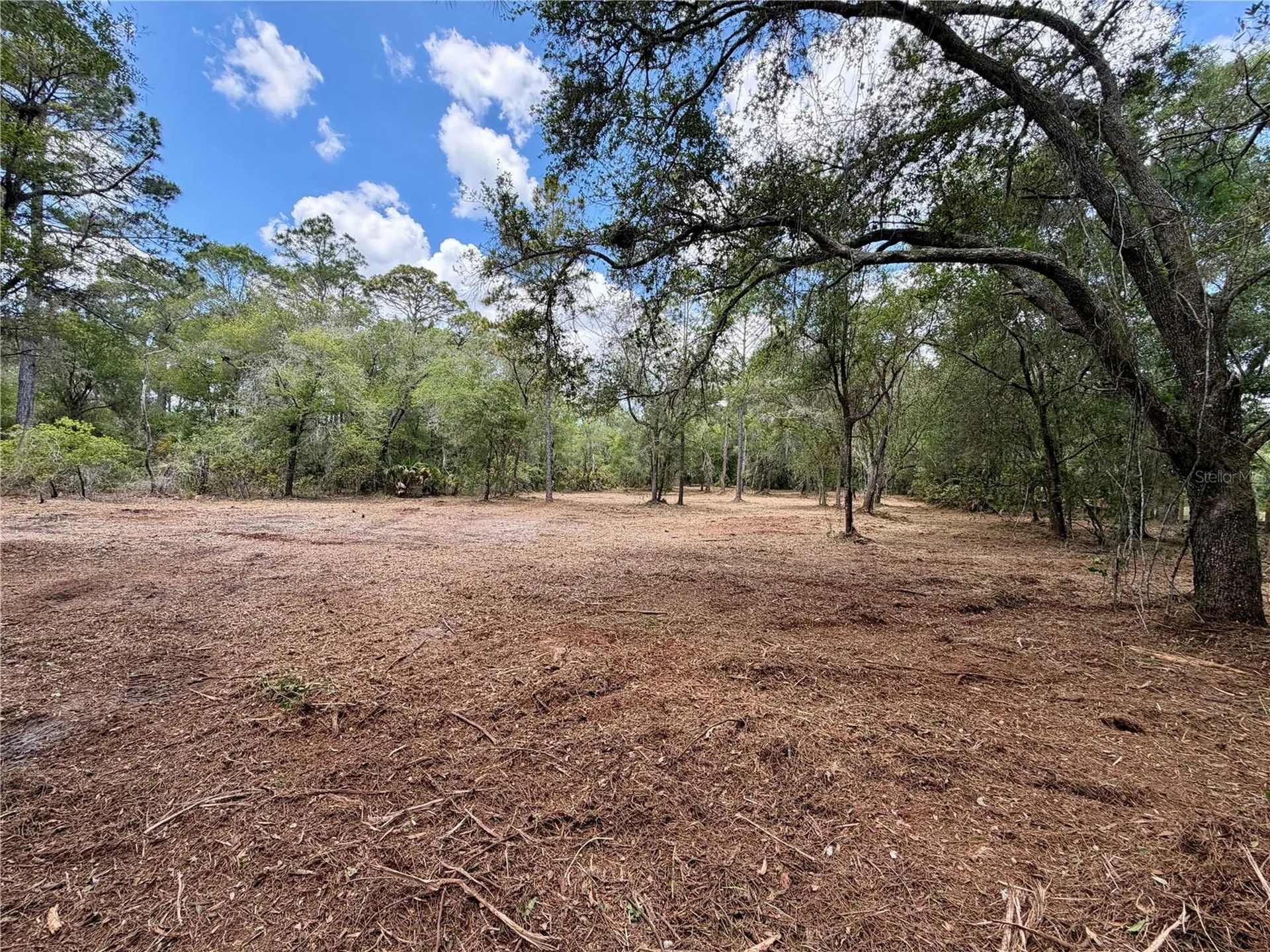 8473 N Star Blaze Drive Crystal River FL 34428