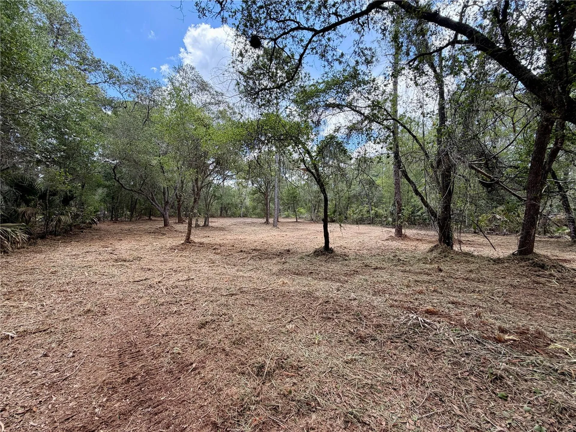8473 N Star Blaze Drive Crystal River FL 34428
