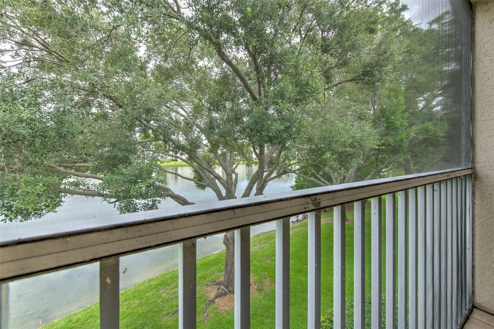 18504 Pebble Lake Court Tampa FL 33647