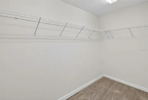 11113 Lammer Lane Oxford FL 34484