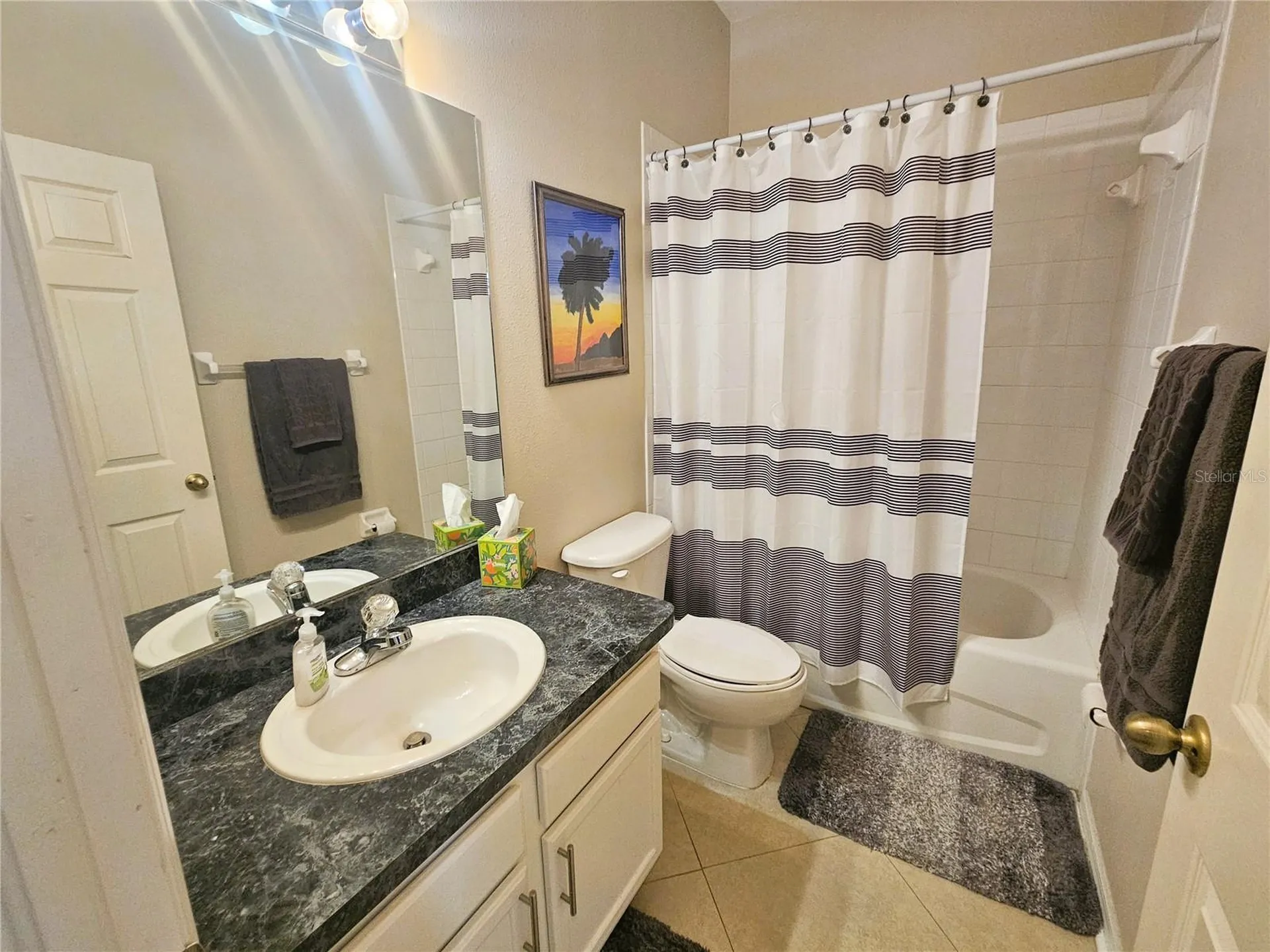 8148 Stone Leaf Lane Tampa FL 33647