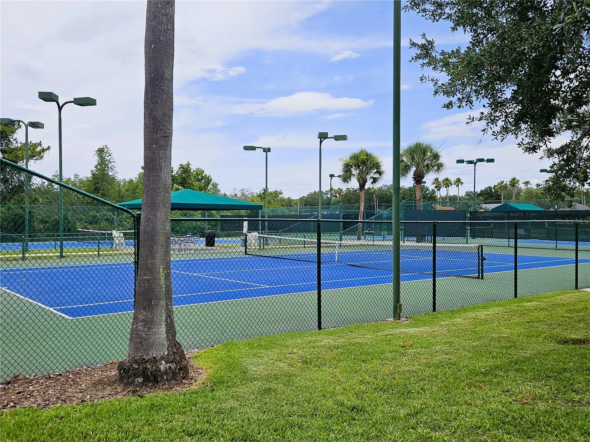 8148 Stone Leaf Lane Tampa FL 33647