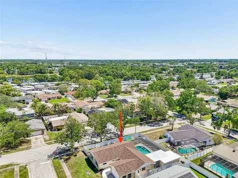 2959 Maple Court Dunedin FL 34698