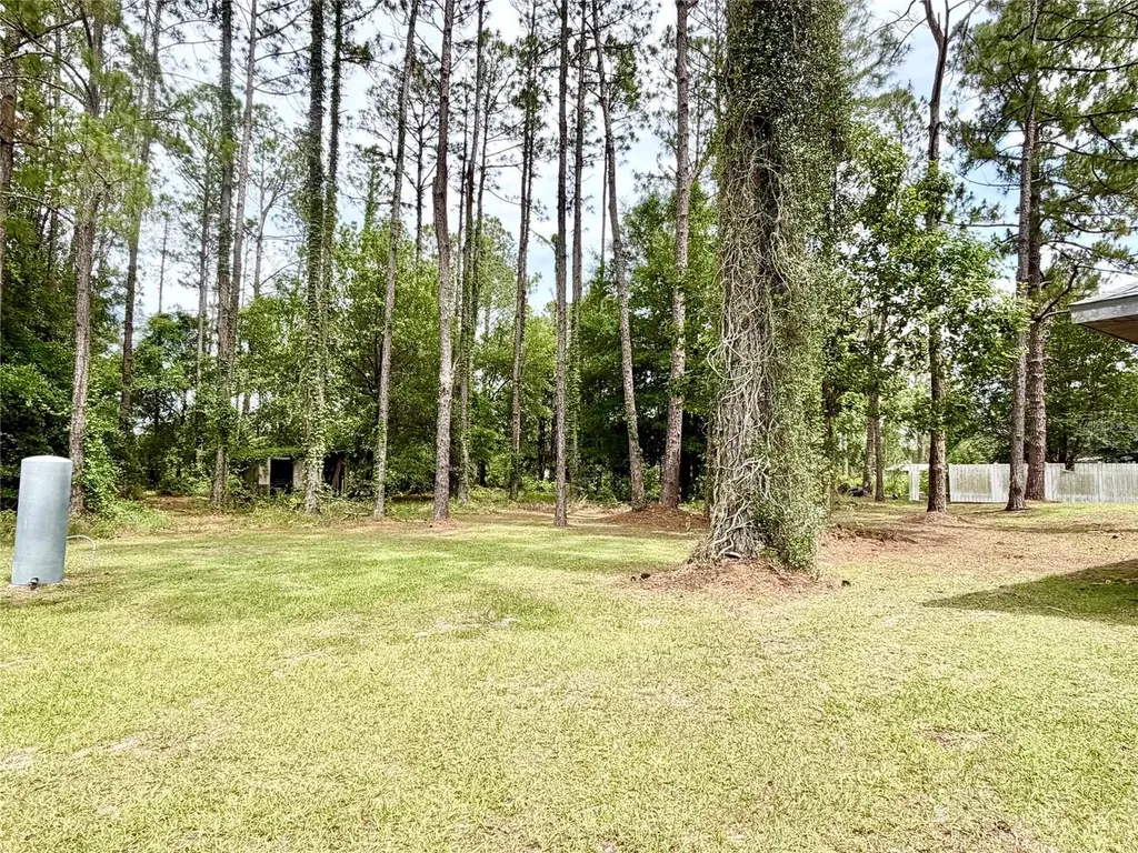 9972 SW 151st Place Lake Butler FL 32054