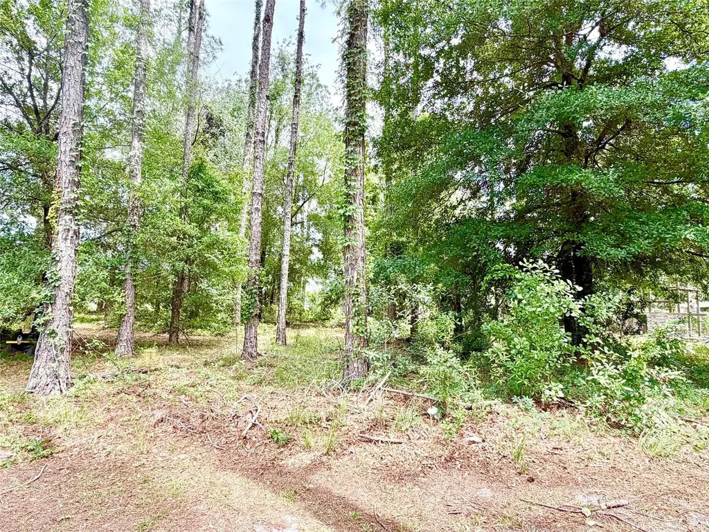 9972 SW 151st Place Lake Butler FL 32054