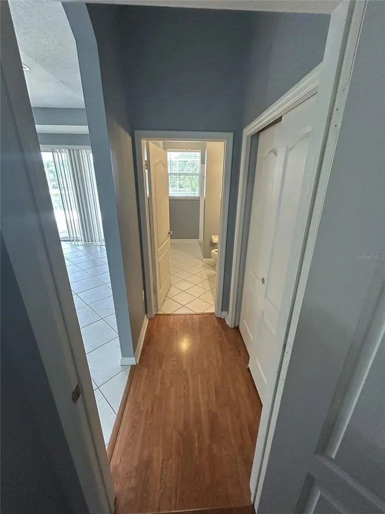 19909 Bluff Oak Boulevard Tampa FL 33647
