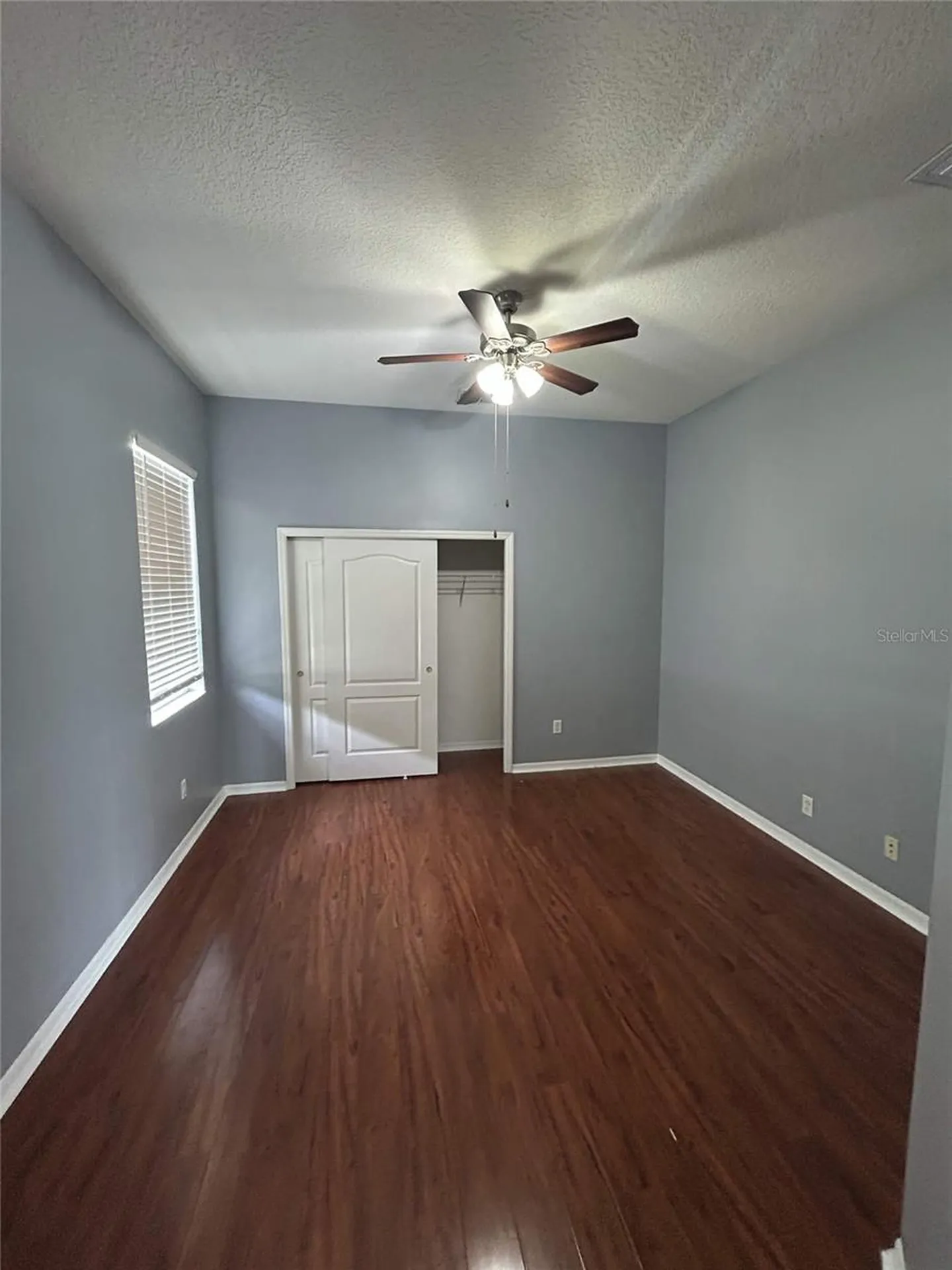 19909 Bluff Oak Boulevard Tampa FL 33647