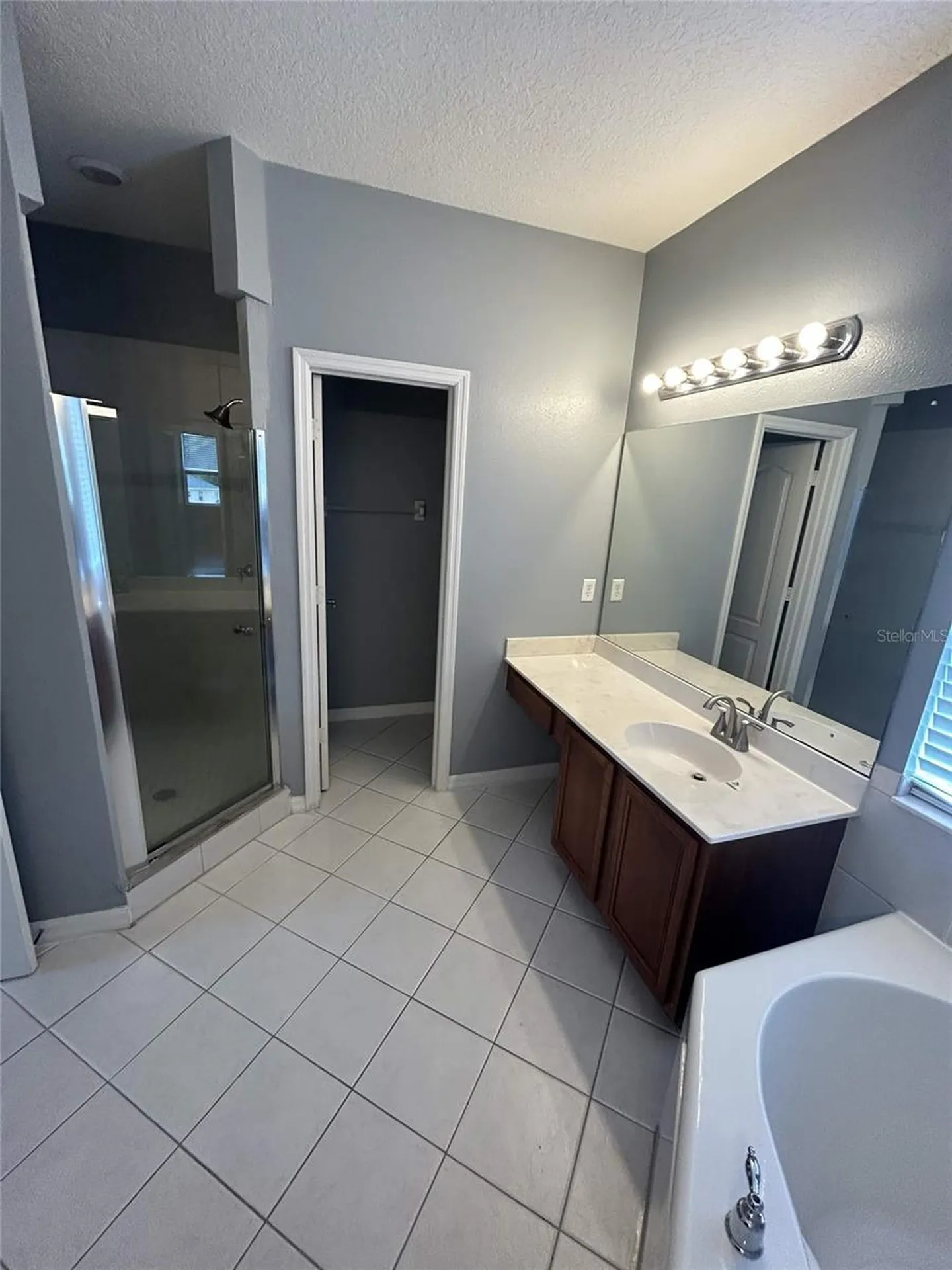 19909 Bluff Oak Boulevard Tampa FL 33647