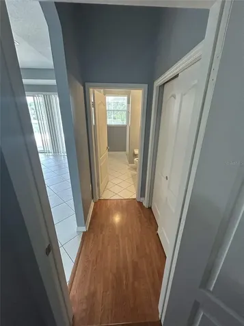 19909 Bluff Oak Boulevard Tampa FL 33647