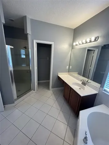 19909 Bluff Oak Boulevard Tampa FL 33647
