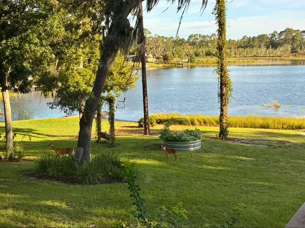 460 Lake Como Drive Pomona Park FL 32181