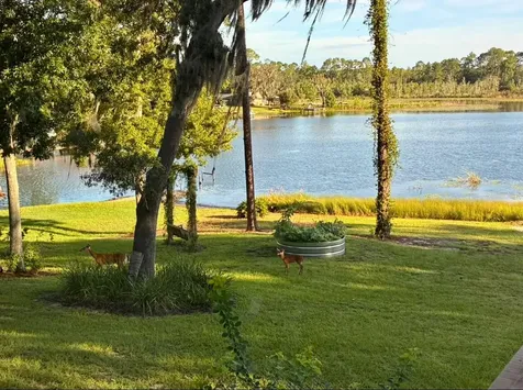 460 Lake Como Drive Pomona Park FL 32181