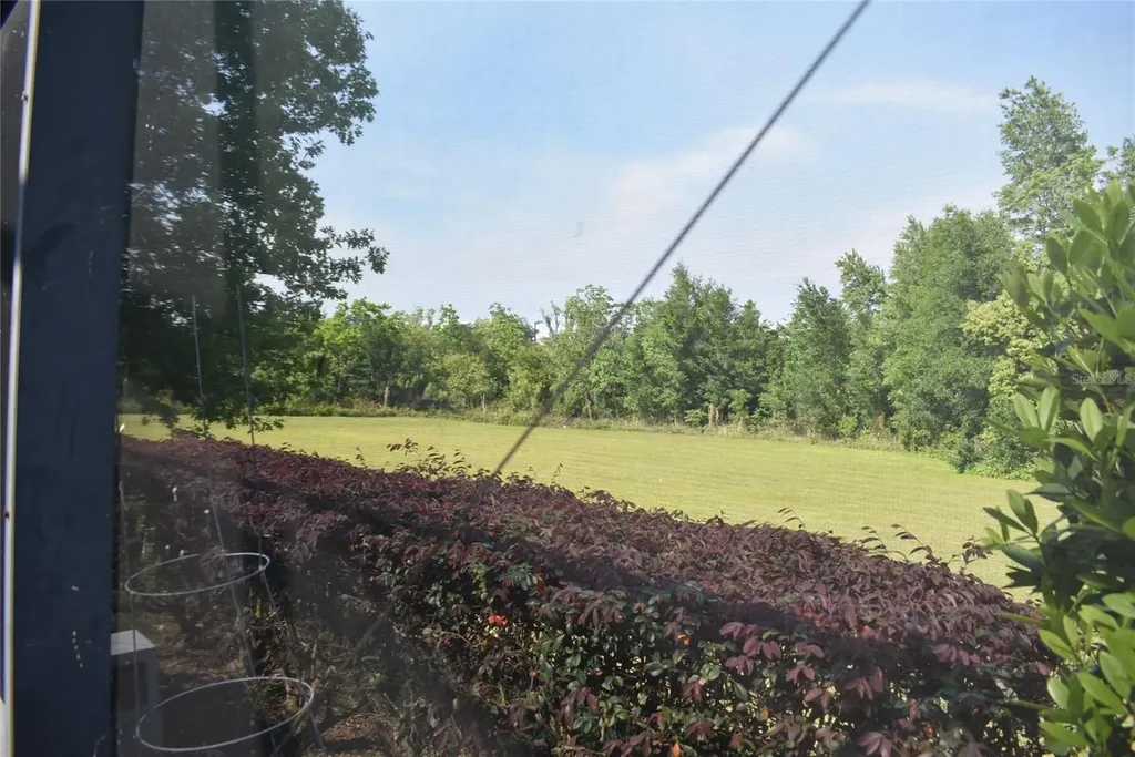 2415 Sabastian Street Mount Dora FL 32757