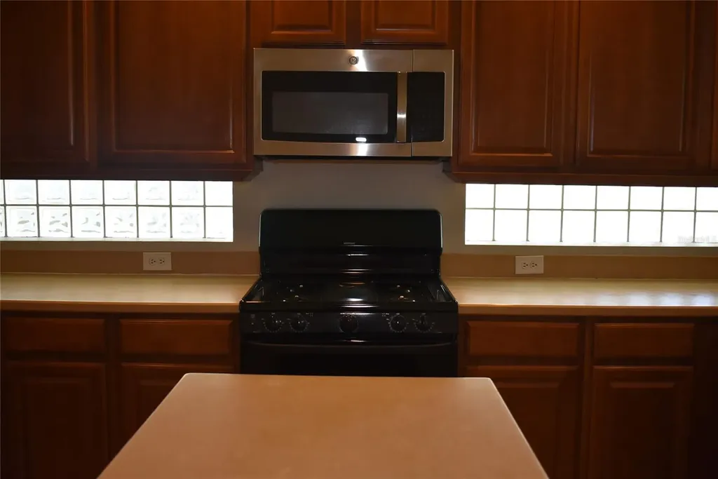 2415 Sabastian Street Mount Dora FL 32757