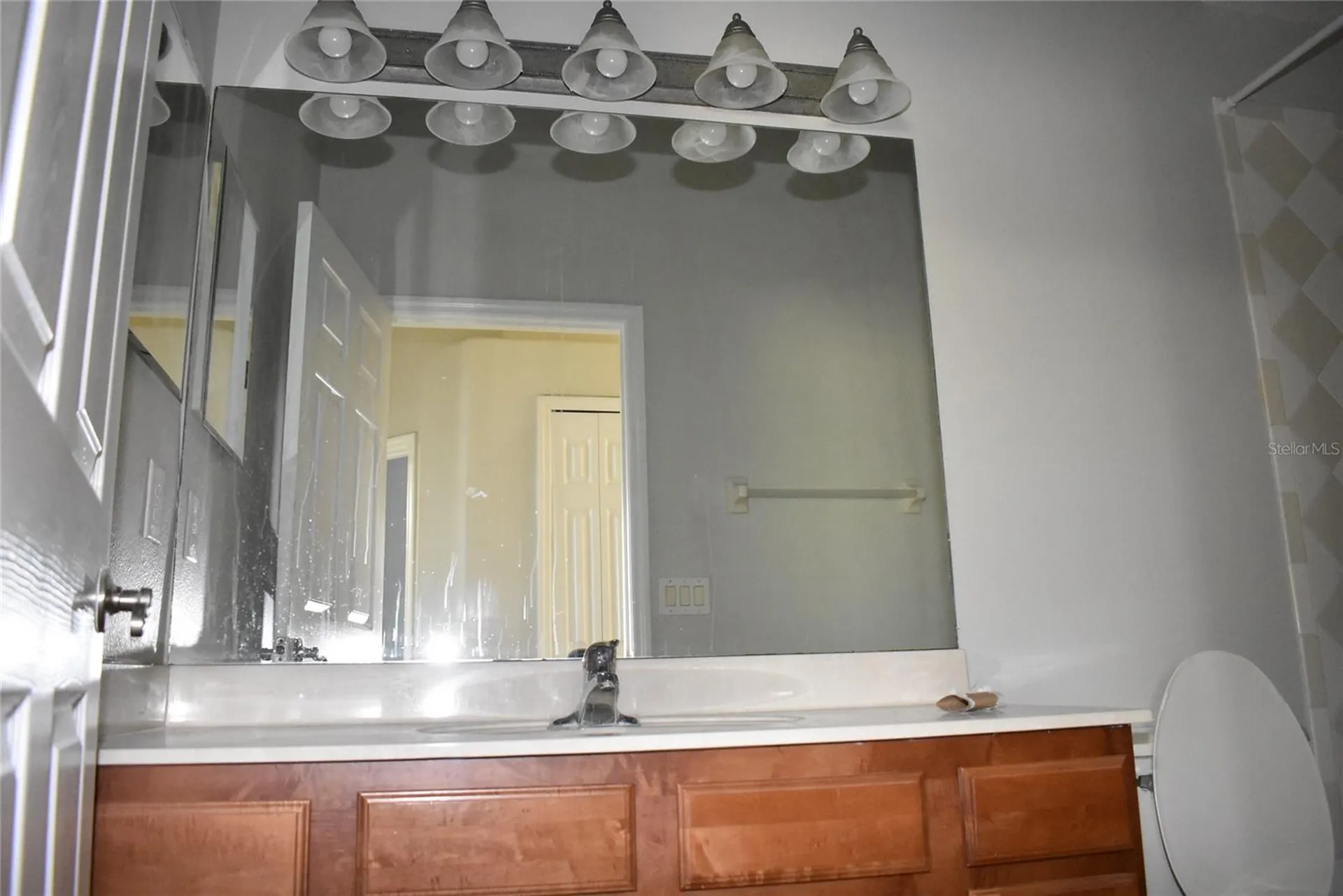 2415 Sabastian Street Mount Dora FL 32757