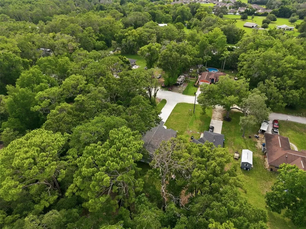 352 Garfield Masaryktown FL 34604