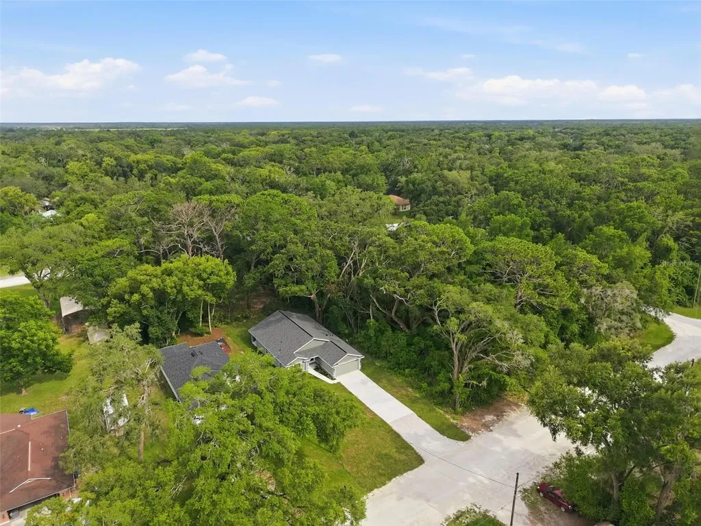 352 Garfield Masaryktown FL 34604