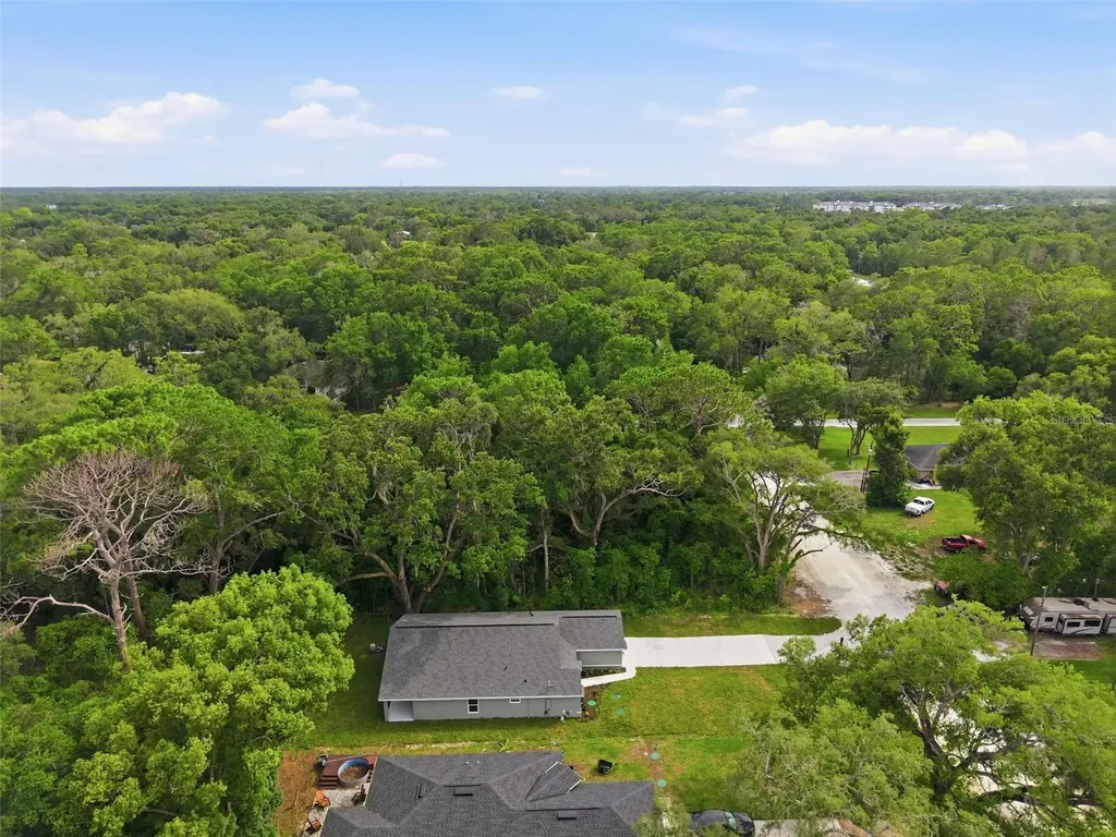 352 Garfield Masaryktown FL 34604