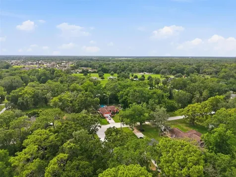 352 Garfield Masaryktown FL 34604