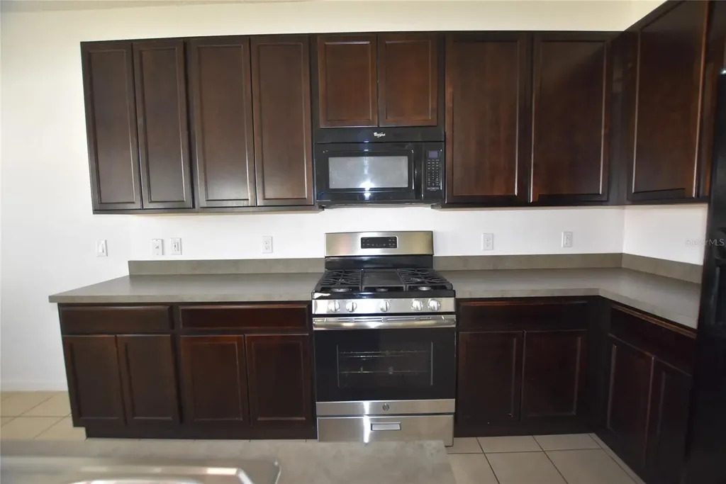 2279 Sabastian Street Mount Dora FL 32757