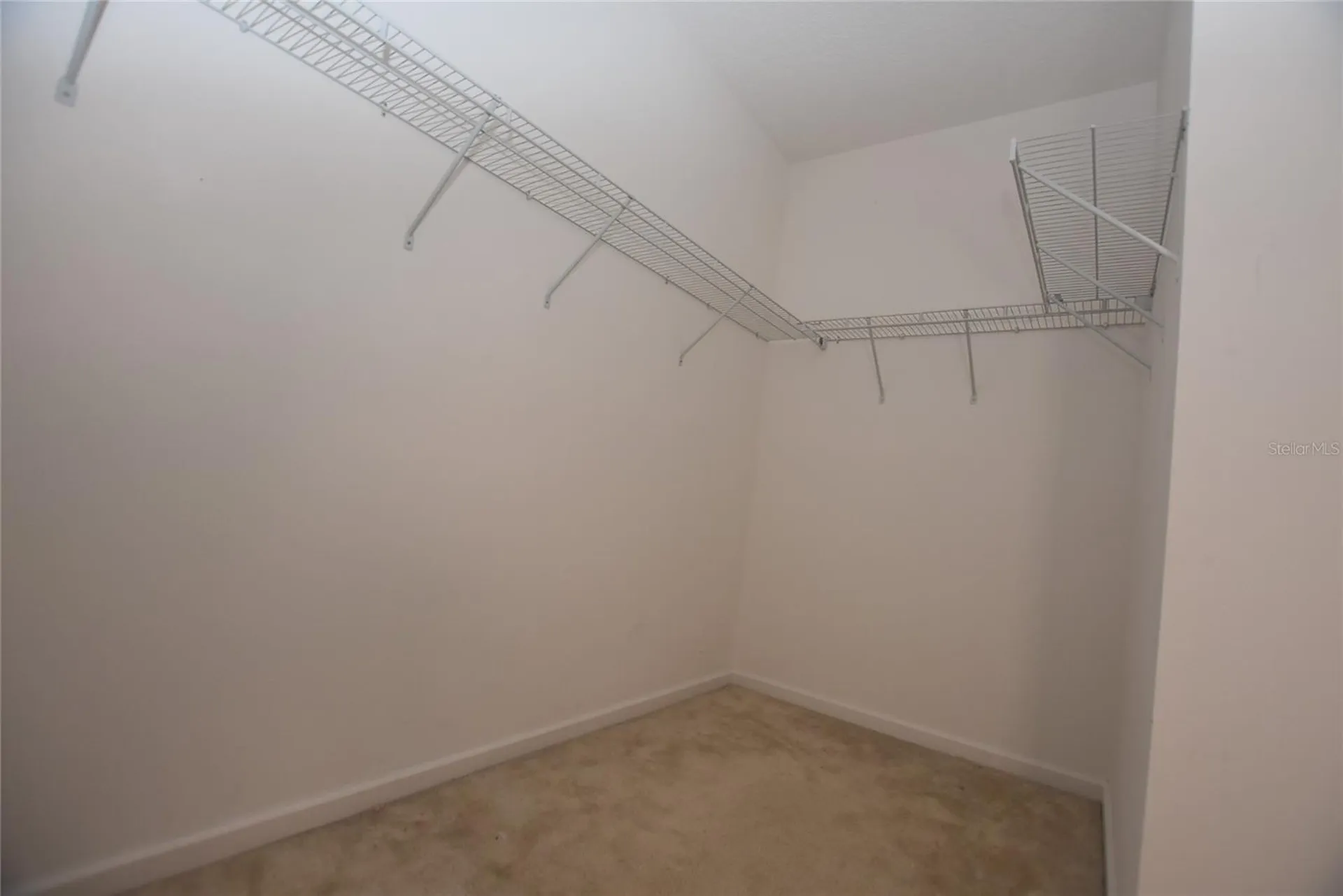 2279 Sabastian Street Mount Dora FL 32757