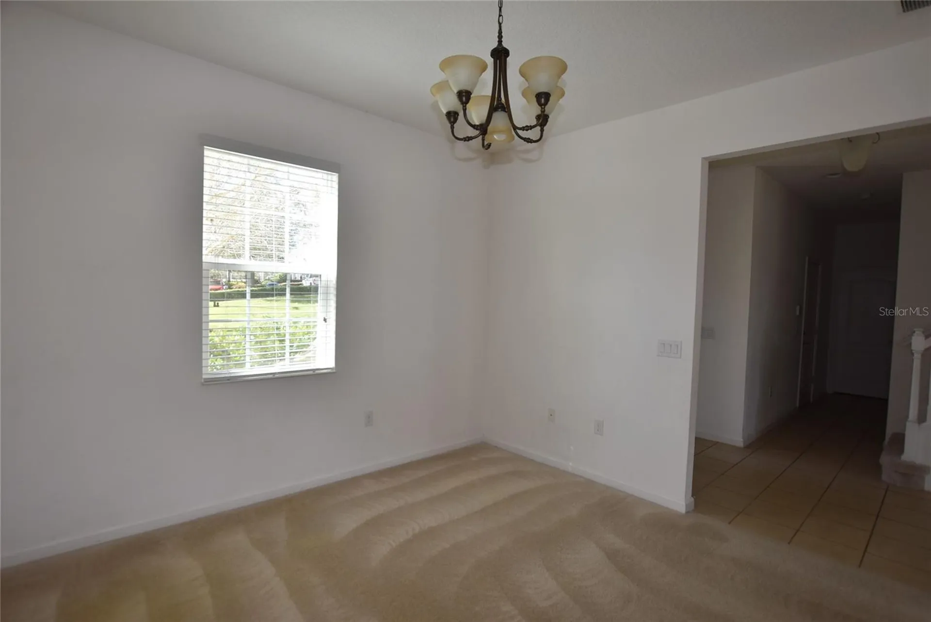 2279 Sabastian Street Mount Dora FL 32757