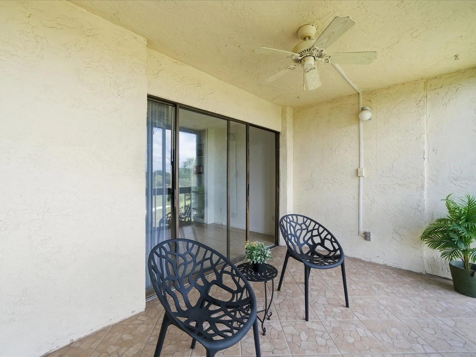 13626 Greenfield Drive Tampa FL 33618