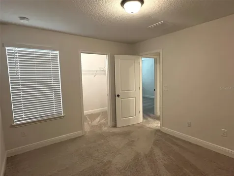 11634 Cambium Crown Drive Riverview FL 33569