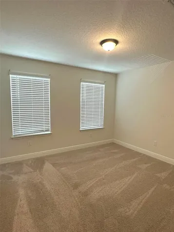 11634 Cambium Crown Drive Riverview FL 33569