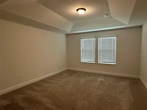 11634 Cambium Crown Drive Riverview FL 33569