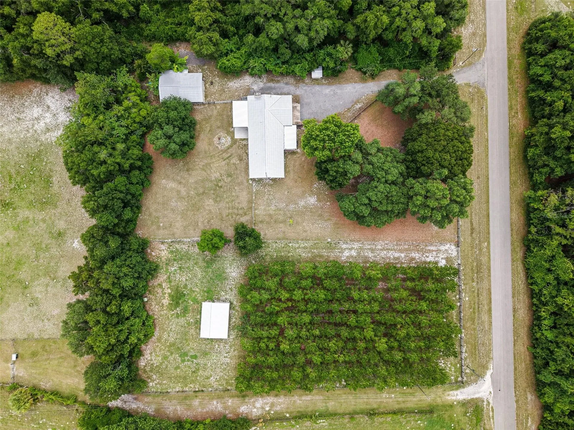 7251 NW 40th Street Chiefland FL 32626