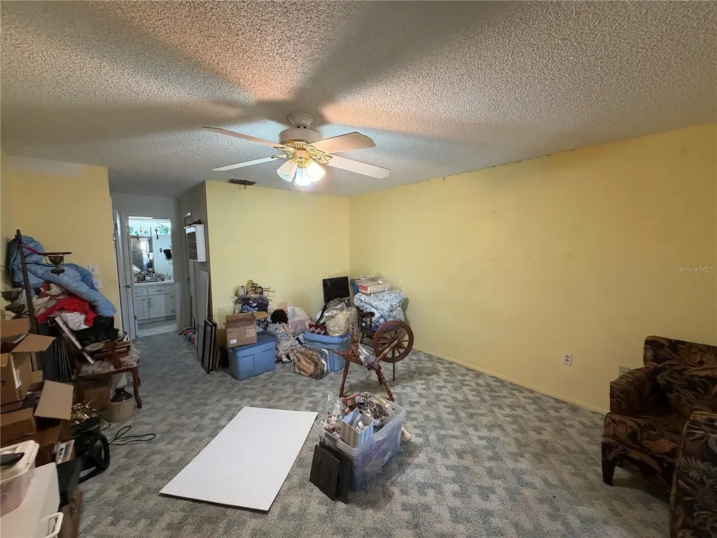 4317 Tiburon Drive New Port Richey FL 34655