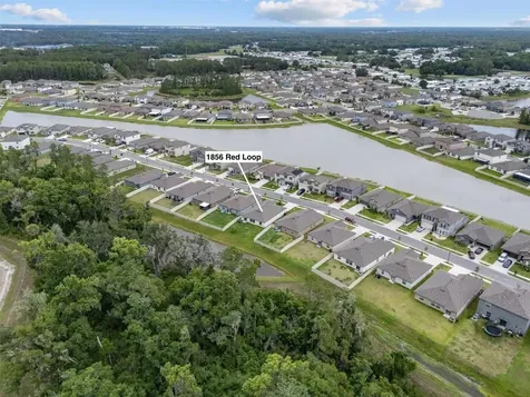 1856 Red Loop Lakeland FL 33801
