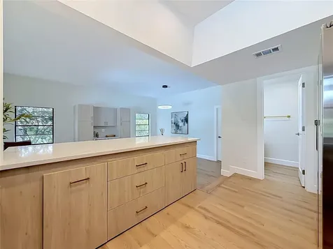 3 Octavia Way Safety Harbor FL 34695