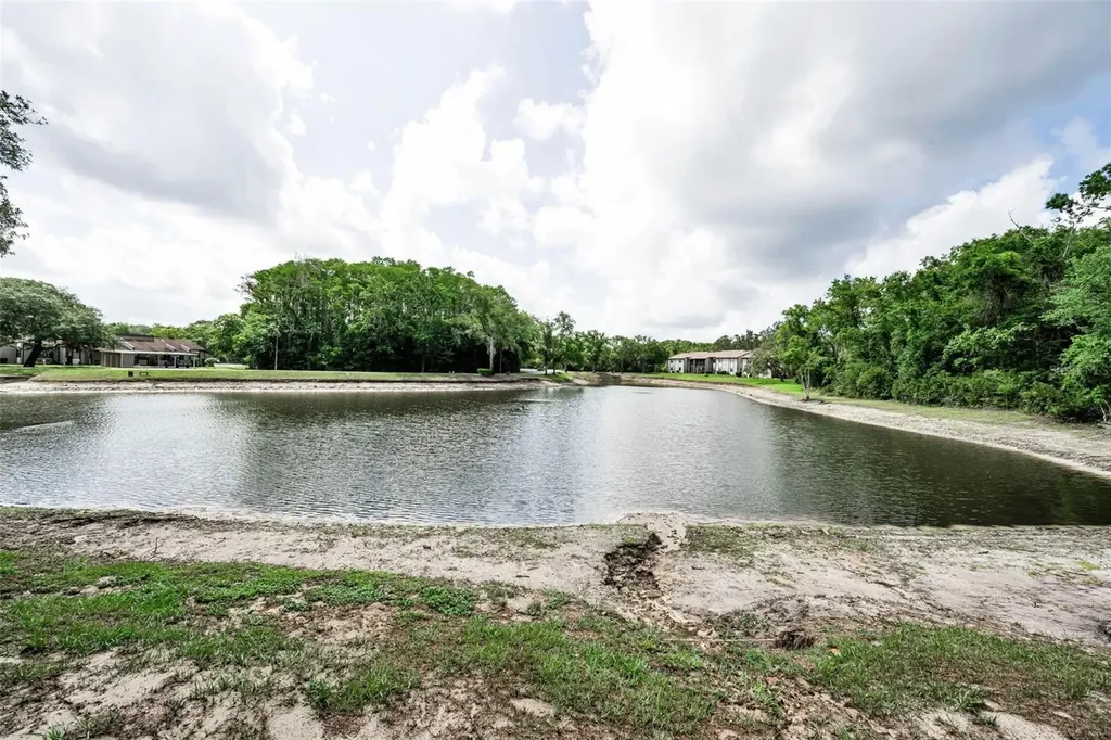 12025 Proctor Loop New Port Richey FL 34654