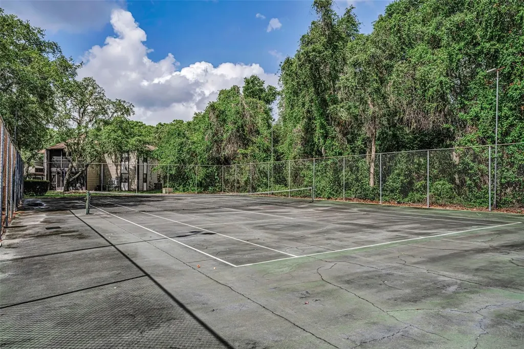 12025 Proctor Loop New Port Richey FL 34654