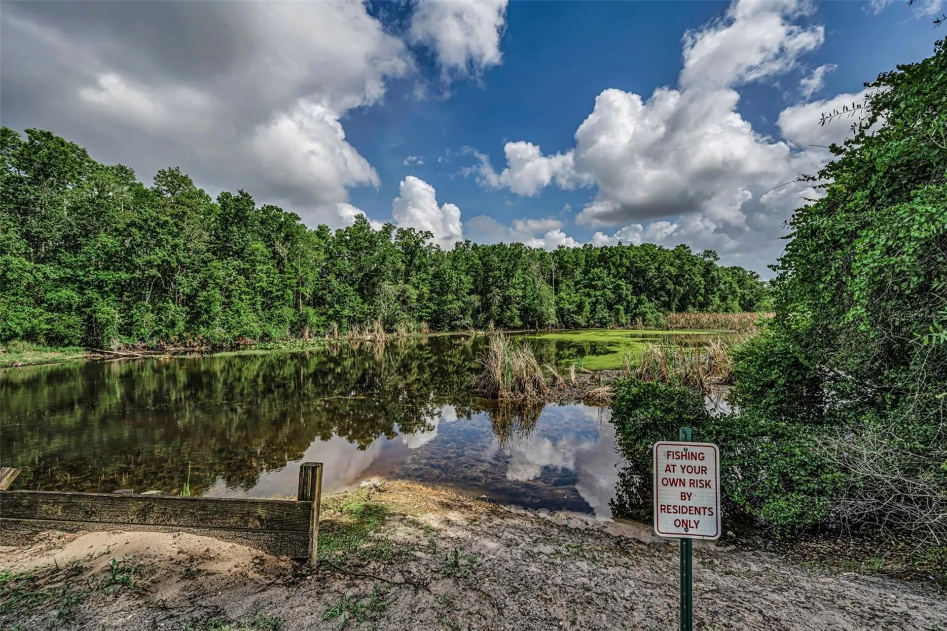 12025 Proctor Loop New Port Richey FL 34654
