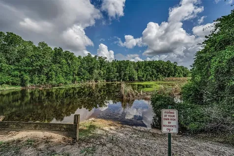 12025 Proctor Loop New Port Richey FL 34654