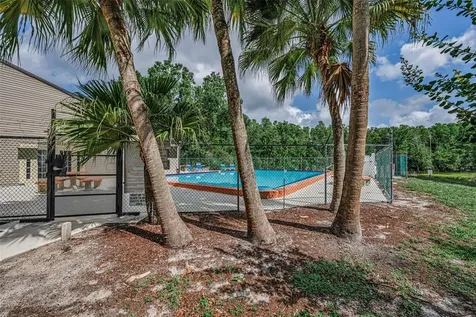 12025 Proctor Loop New Port Richey FL 34654