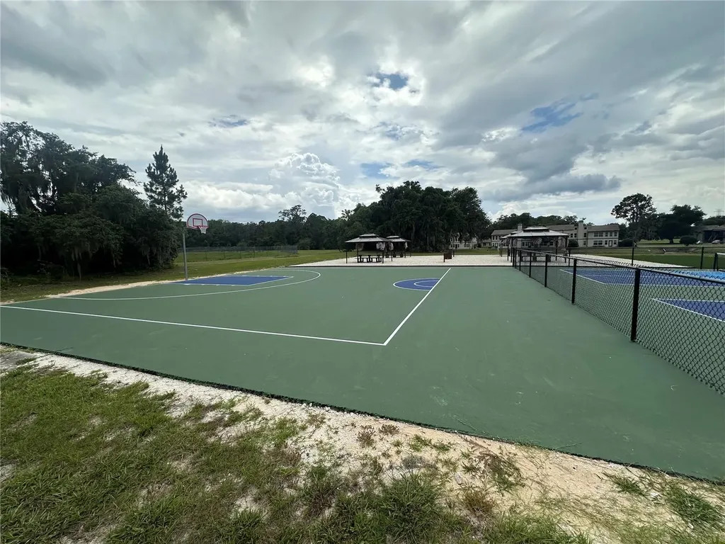 17202 Sandalwood Drive Wildwood FL 34785