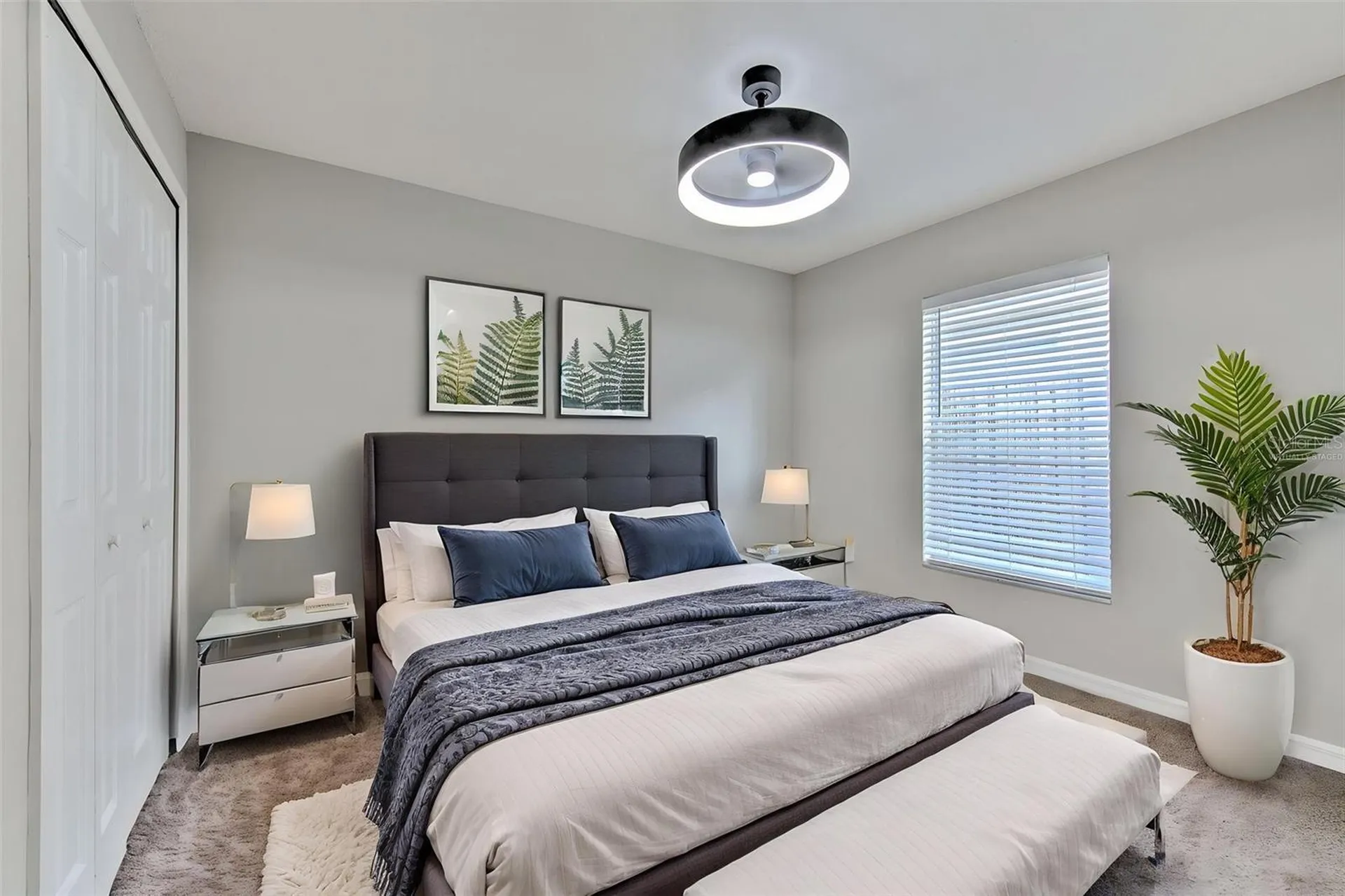 6043 Pointe Pleasant Boulevard Wesley Chapel FL 33545