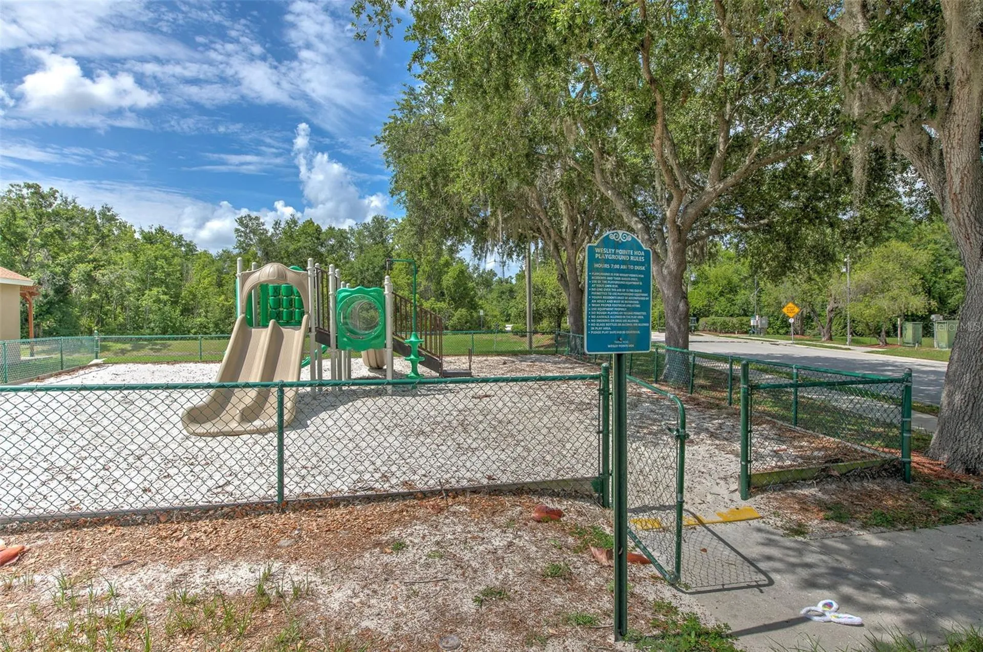 6043 Pointe Pleasant Boulevard Wesley Chapel FL 33545