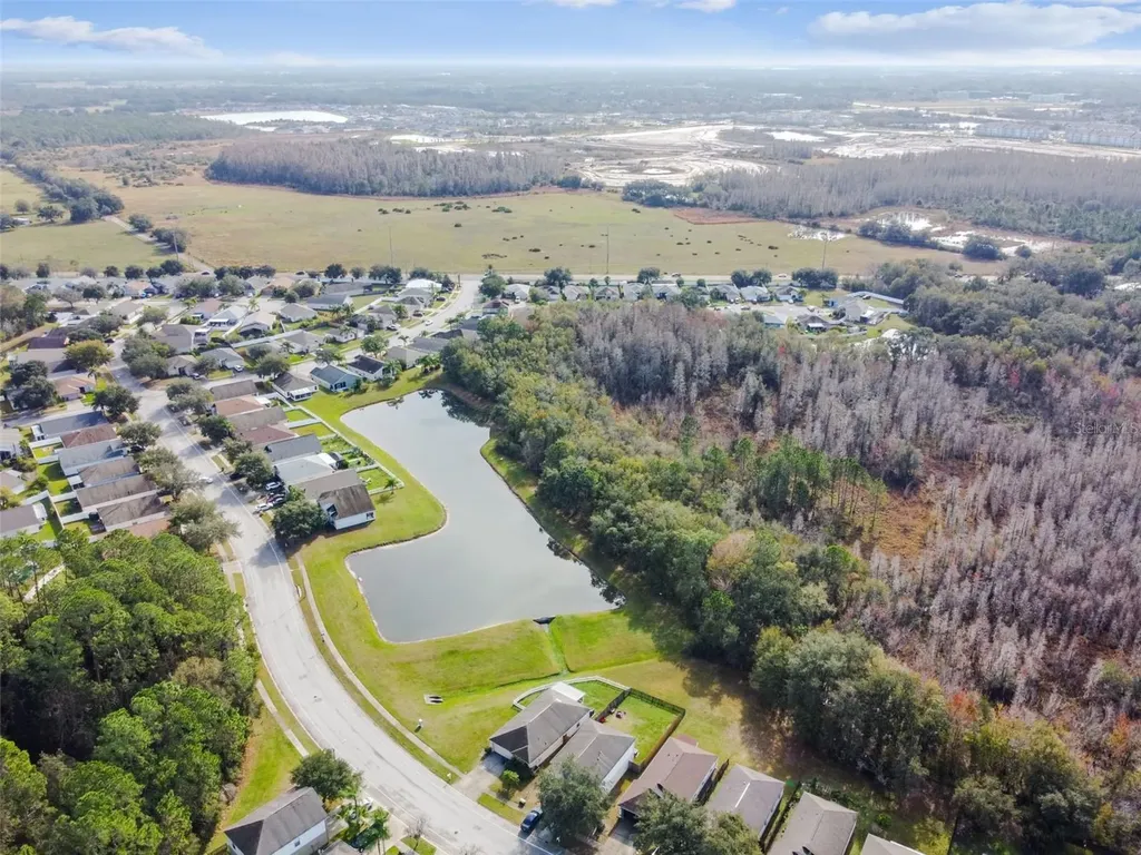 30626 Birdhouse Drive Wesley Chapel FL 33545