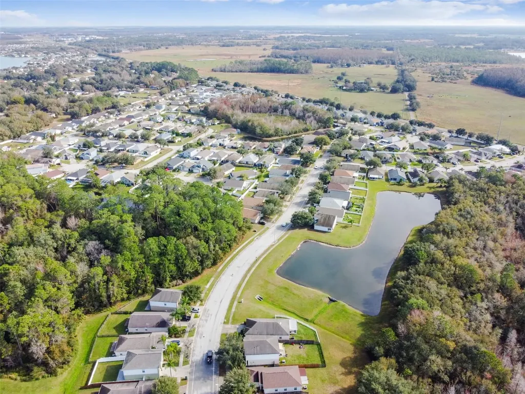 30626 Birdhouse Drive Wesley Chapel FL 33545