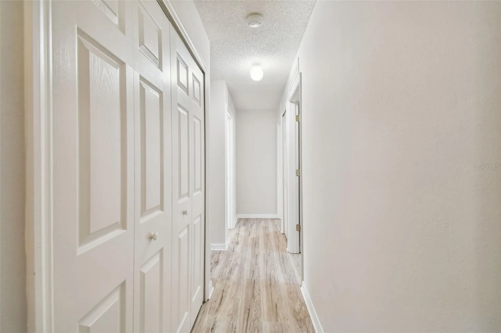30626 Birdhouse Drive Wesley Chapel FL 33545