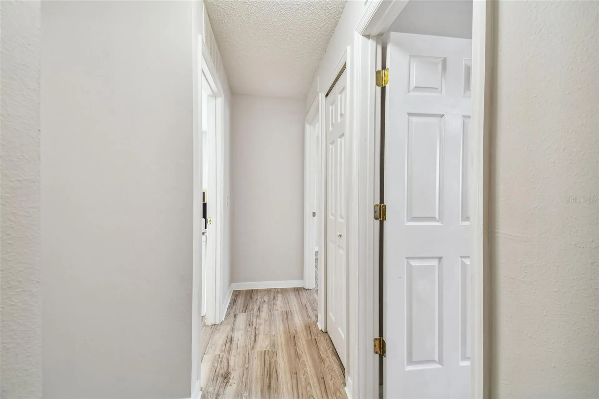 30626 Birdhouse Drive Wesley Chapel FL 33545