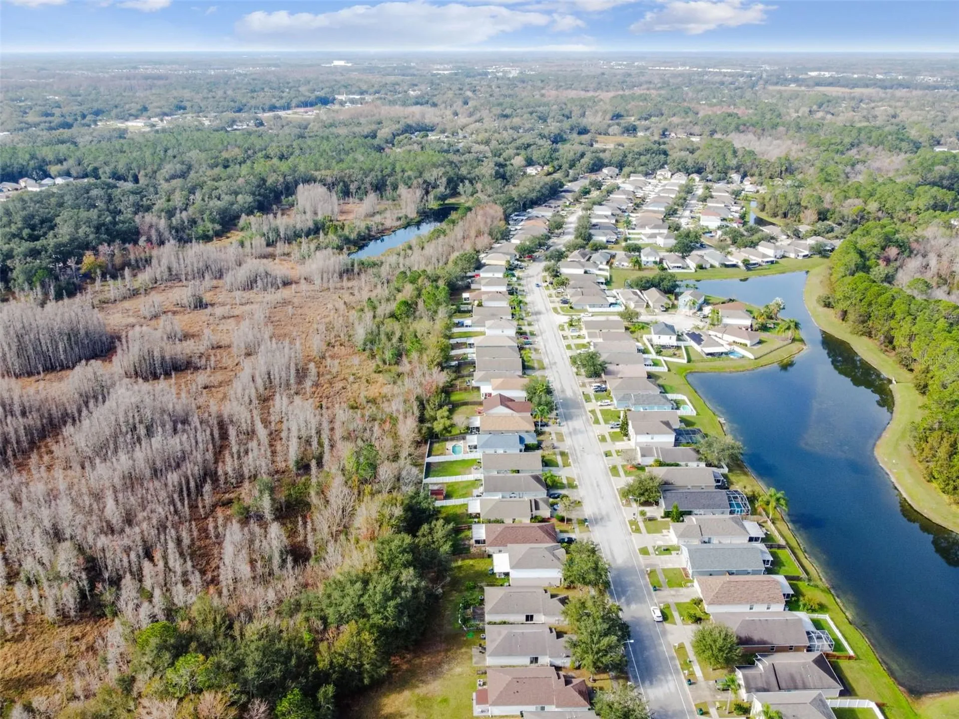 30626 Birdhouse Drive Wesley Chapel FL 33545