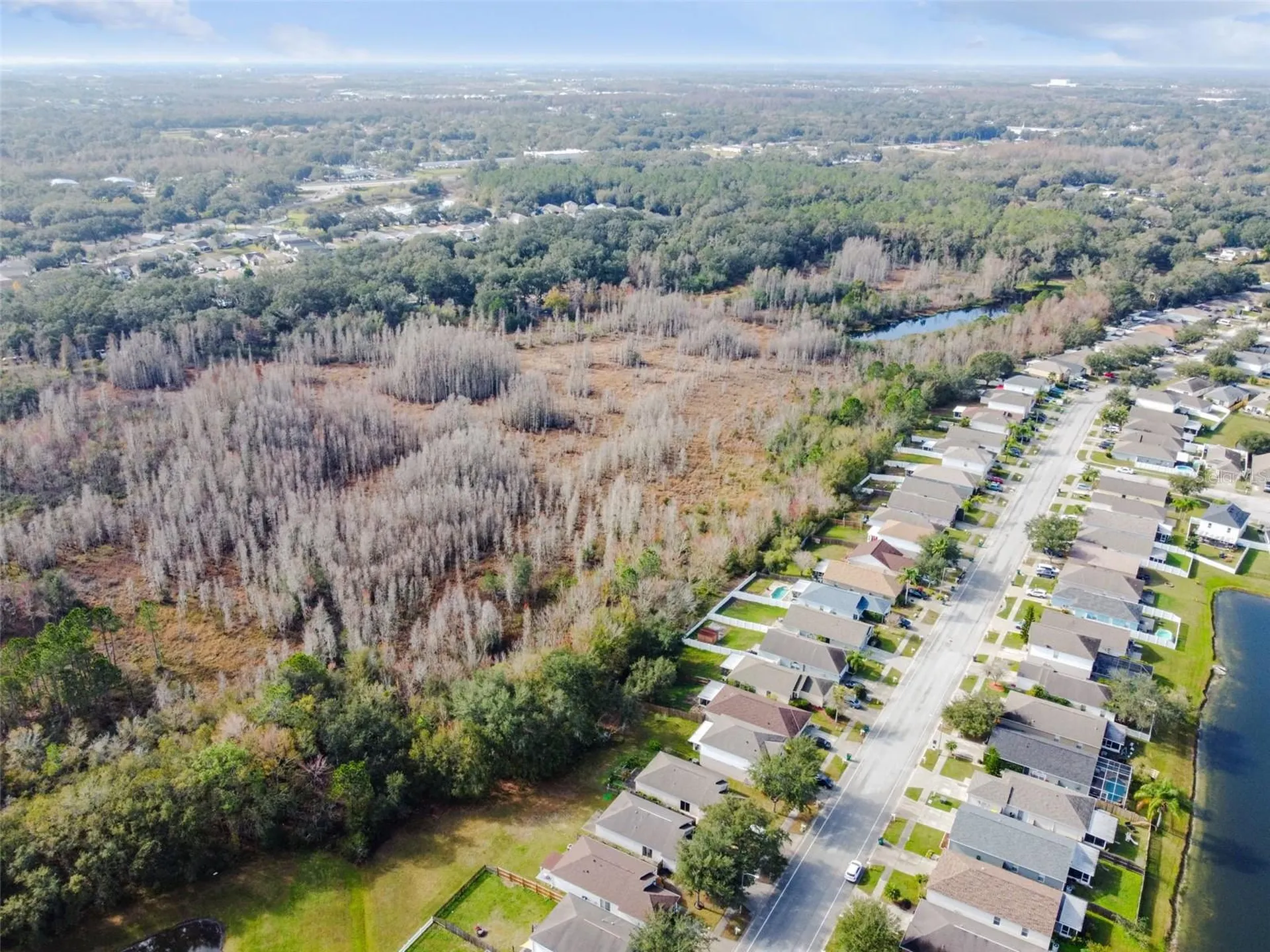 30626 Birdhouse Drive Wesley Chapel FL 33545