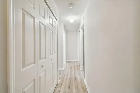 30626 Birdhouse Drive Wesley Chapel FL 33545